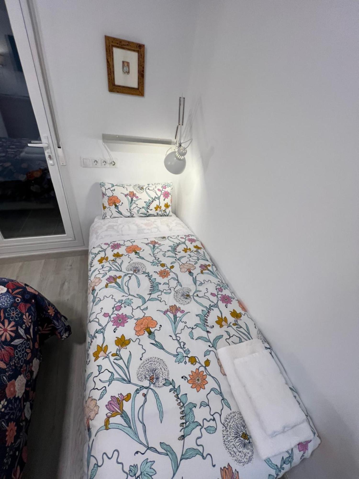 Gran Ritz Apartamentos Especial Terraza Exclusiva C Zenete マラガ エクステリア 写真